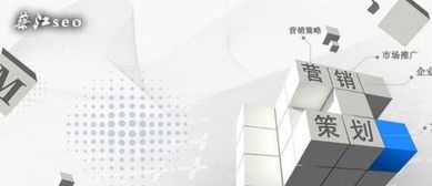 中國網(wǎng)絡(luò)營銷發(fā)展現(xiàn)狀與市場營銷策劃趨勢
